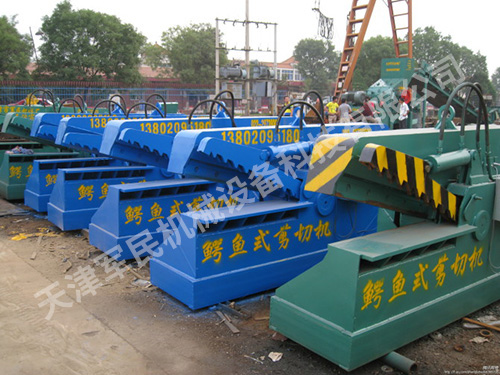 Crocodile shear